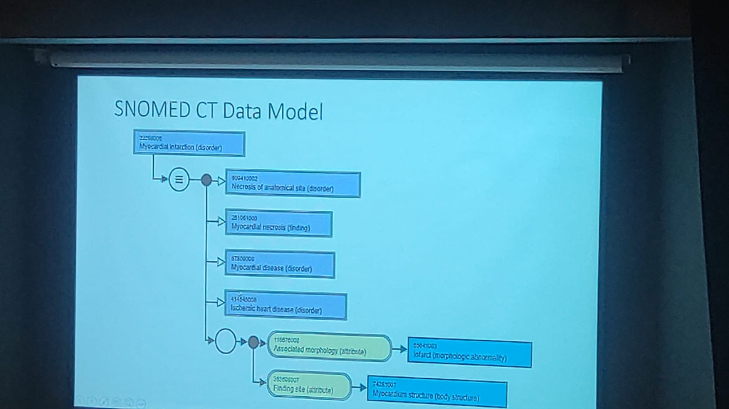 SNOMED CT Data Model